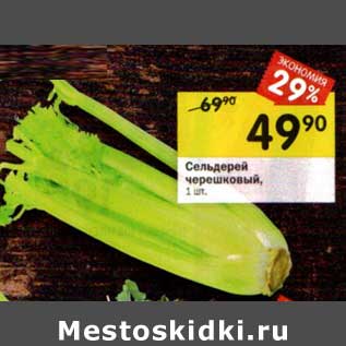 Акция - Сельдерей черешковый