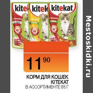 Акция - Корм для кошек KiteKat