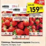 Магазин:Карусель,Скидка:Саженцы Земляника садовая Эльсанта,
Корона, Остара
