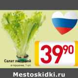 Магазин:Билла,Скидка:Салат
листовой
в горшочке, 1 шт.