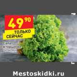 Магазин:Дикси,Скидка:Салат в горшочке 