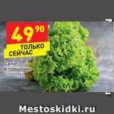 Магазин:Дикси,Скидка:Салат в горшочке 