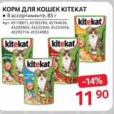 Магазин:Selgros,Скидка:Корм для кошек Kitekat