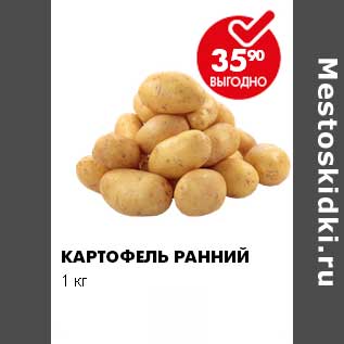 Акция - КАРТОФЕЛЬ РАННИЙ