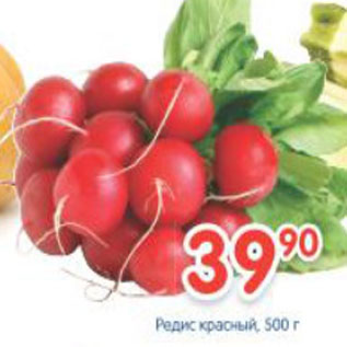 Акция - Редис красный