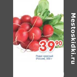Акция - Редис красный