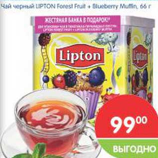 Акция - Чай черный LIPTON FOREST FRUIT + BLUEBERRY MUTTIN