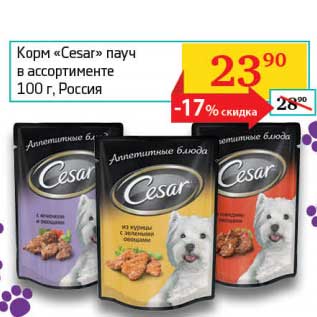 Акция - Корм "Cesar" пауч