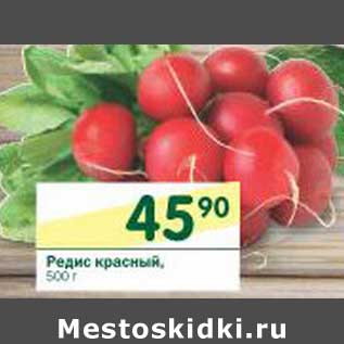 Акция - Редис красный