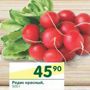 Акция - Редис красный