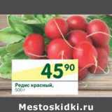 Магазин:Перекрёсток,Скидка:Редис красный 