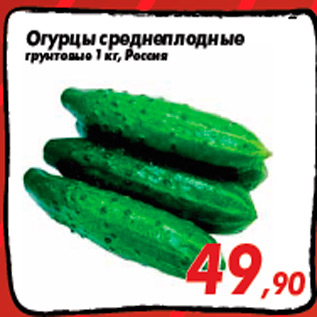 Акция - Огурцы среднеплодные грунтовые 1 кг, Россия