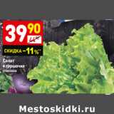 Магазин:Дикси,Скидка:Салат
в горшочке 