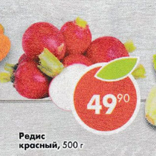 Акция - Редис красный