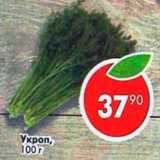 Магазин:Пятёрочка,Скидка:укроп