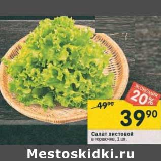 Акция - Салат листовой