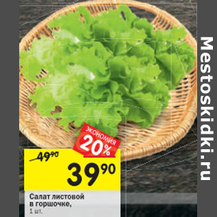 Акция - Салат листовой