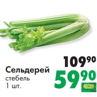 Акция - Сельдерей стебель
