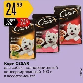 Акция - Корм СESAR