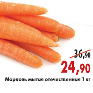 Акция - Морковь мытая отечественная