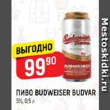 Магазин:Верный,Скидка:ПИВО BUDWEISER BUDVAR
5%