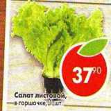 Магазин:Пятёрочка,Скидка:Салат листовой