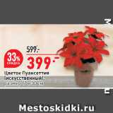 Магазин:Окей супермаркет,Скидка:Цветок Пуансеттия
(искусственный),
размер 17 x 30 см