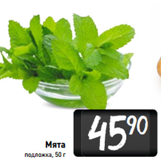 Акция - Мята подложка,