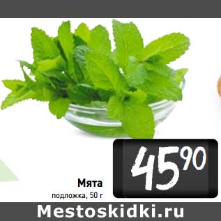 Акция - Мята подложка