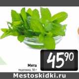 Магазин:Билла,Скидка:Мята
подложка