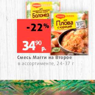 Акция - Смесь Магги на Второе в ассортименте, 24-37 г.