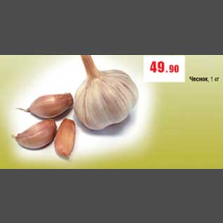 Акция - Чеснок