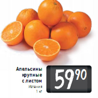 Акция - Апельсины крупные с листом