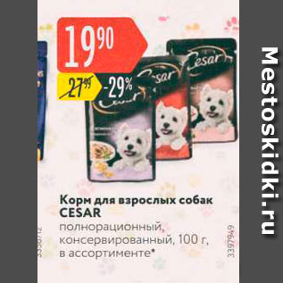 Акция - Корм для взрослых собак CESAR