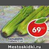 Магазин:Пятёрочка,Скидка:сельдерей стебель