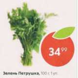 Магазин:Пятёрочка,Скидка:Зелень Петрушка