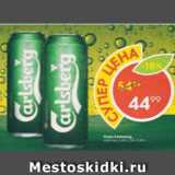 Пятёрочка Акции - Пиво Carlsberg