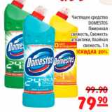 Карусель Акции - Чистящее средство Domestos