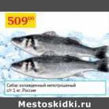 Магазин:Седьмой континент,Скидка:Сибас охлажд. непотрош.с/г