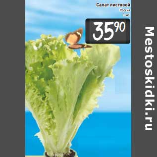 Акция - Салат листовой