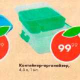Магазин:Пятёрочка,Скидка:Контейнер-органайзер 