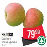 Spar Акции - яблоки
Садовые
новый урожай
1 кг