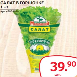 Акция - Салат в горшочке