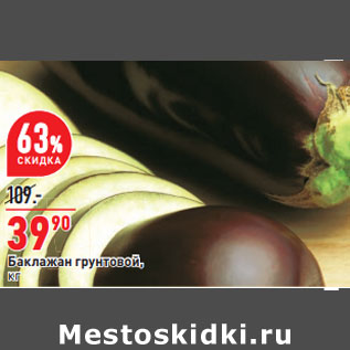 Акция - Баклажан грунтовой