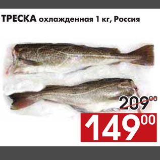 Акция - ТРЕСКА охлажденная 1 кг, Россия