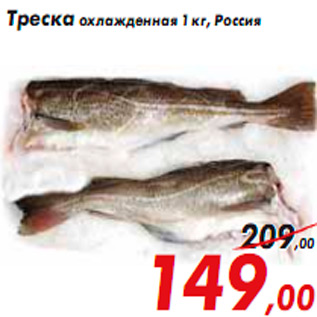 Акция - Треска охлажденная 1 кг, Россия