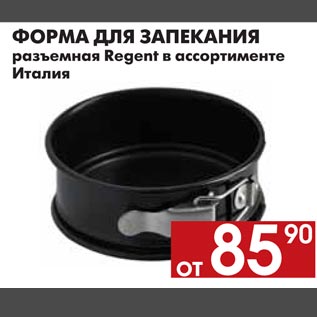 Акция - ФОРМА ДЛЯ ЗАПЕКАНИЯ разъемная Regent