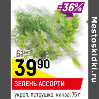 Акция - ЗЕЛЕНЬ АССОРТИ укроп, петрушка, кинза,