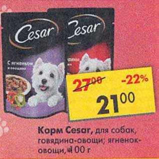 Акция - Корм Cesar для собак