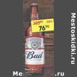 Магазин:Пятёрочка,Скидка:Пиво Bud светлое 5%